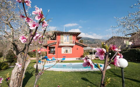 Villa Camaiore: Haus, Zuhause, Garten, Rasen, Estate, Garten, Landscaping, Hazienda, Bauernhaus, Hinterhof