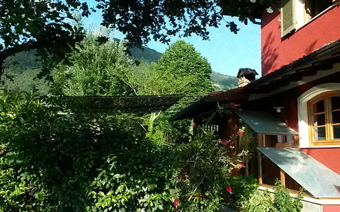 Villa Camaiore: Ländliches Gebiet, Hütte, Garten, Dorf, Garten, Hinterhof, Hazienda
