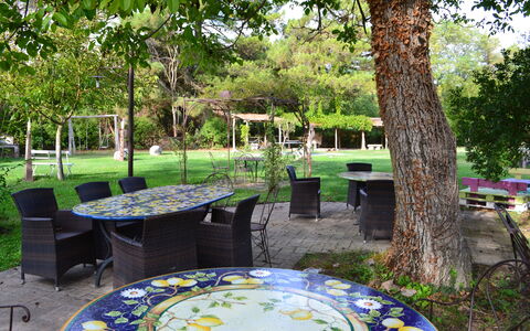 Appartamento La Torretta Di Pietra, Wifi, Perugia: Möbel, Tabelle, Gartenmöbel, Stuhl, Garten, Tisch Im Freien, Schatten, Rasen, Frühling, Hinterhof