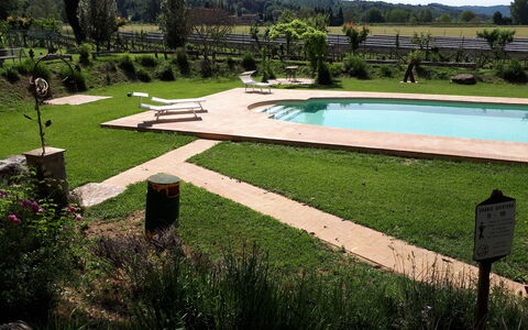 Appartamento La Torretta Di Pietra, Wifi, Perugia: Garten, Schwimmbad, Gartenmöbel, Rasen, Schatten, Hinterhof, Landscaping, Freizeit, Park, Water Feature