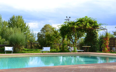 Appartamento Il Fienile Del Sole, Wifi, Perugia: Schwimmbad, Gartenmöbel, Resort, Garten, Schatten, Freizeit, Eco Hotel, Landscaping, Hinterhof