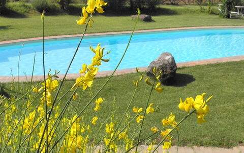 Appartamento Il Cantico Del Gallo, Wifi, Near Peru: Gelb, Frühling, Garten, Rasen, Landscaping, Garten, Park, Wild, Botanischer Garten