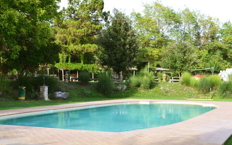 Appartamento Vele, Wifi, Near Perugia: Schwimmbad, Baum, Resort, Schatten, Garten, Gartenmöbel, Freizeit, Hinterhof, Landscaping, Water Feature