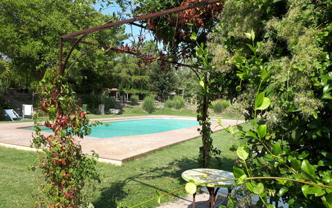 Appartamento Rustico, Wifi, Perugia: Strauch, Garten, Schatten, Frühling, Hinterhof, Garten, Rasen, Landscaping, Blumentopf