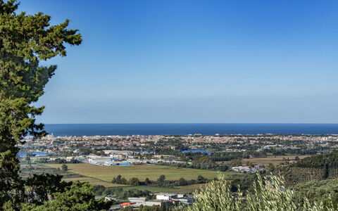 Casale La Pieve: Himmel, Blau, Daytime, Horizont, Immergrün