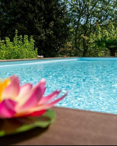Casale La Pieve: Wasser, Schwimmbad, Garten, Landscaping, Resort, Water Feature, Eco Hotel, Botanischer Garten, Hinterhof