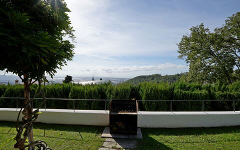 Villa Corsanico: Sonnenlicht, Garten, Rasen, Schatten, Landscaping, Immergrün, Park