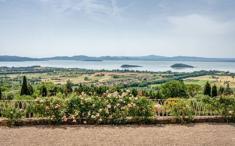 Villa Domus Papi: Landschaft, Strauch, Plantage