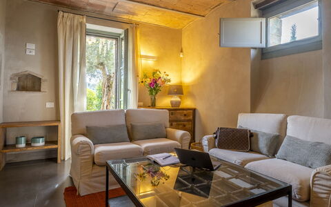 Villa Cotogna: Möbel, Interior Design, Wand, Flooring, Zimmer, Holz, Couch, Fussboden, Wohnzimmer, Decke
