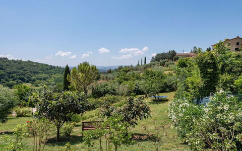 Podere Oliveta: Vegetation, Strauch, Pflanzengemeinschaft, Ländliches Gebiet, Bergstation, Plantage, Garten, Shrubland, Botanischer Garten, Chaparral