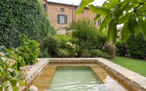 Town House Garden: Strauch, Garten, Water Feature, Landscaping, Hinterhof, Hecke, Hof, Schwimmbad, Flagstone, Botanischer Garten