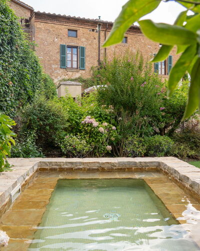 Town House Garden: Strauch, Garten, Water Feature, Landscaping, Hinterhof, Hecke, Hof, Schwimmbad, Flagstone, Botanischer Garten