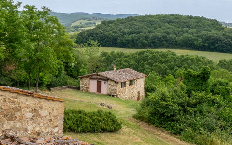 In the Heart of Chianti, Pool, Wifi, View - Lillia: Gras, Baum, Haus, Wiese, Ländliches Gebiet, Hütte, Grundstueck, Bauernhaus, Dach