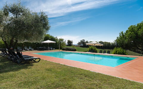 Country House In Tuscan Hills: Estate, Schwimmbad, Hazienda, Landscaping, Resort, Plantage, Eco Hotel, Villa, Bauernhaus