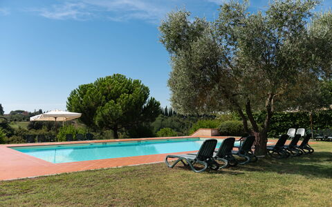 Country House In Tuscan Hills: Schwimmbad, Resort, Hazienda, Garten, Estate, Landscaping, Eco Hotel, Schatten, Gartenmöbel, Villa