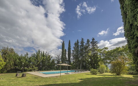 Cottage Monti with Pool: Baum, Grundstueck, Schatten, Lärche, Landscaping, Immergrün, Schwimmbad, Pine Familie