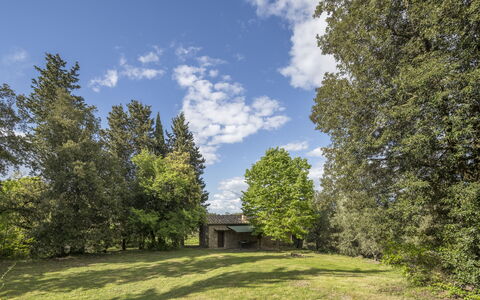 Cottage Monti with Pool: Baum, Gras, Blatt, Natürlichen Umgebung, Ast, Natur, Vegetation, Strauch, Wiese, Landschaft