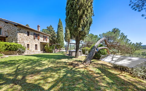 Capanna al Lago, Chianti Heritage with Vineyards V: Baum, Garten, Estate, Landscaping, Bauernhaus, Villa, Immergrün, Pine Familie