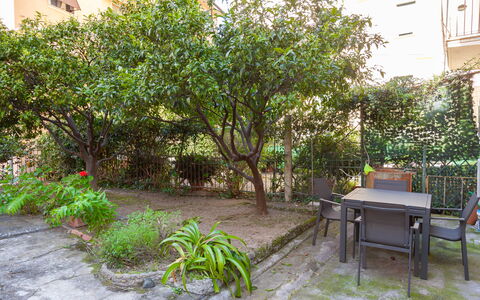 La Casa Dei Mandarini: Blatt, Strauch, Garten, Frühling, Gehölz, Schatten, Hinterhof, Garten, Landscaping, Hof