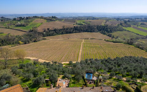 Casa Meletta: Landschaft, Ländliches Gebiet, Vogelperspektive, Grundstueck, Landwirtschaft, Luftaufnahmen, Plantage, Feld, Einfach, Chaparral