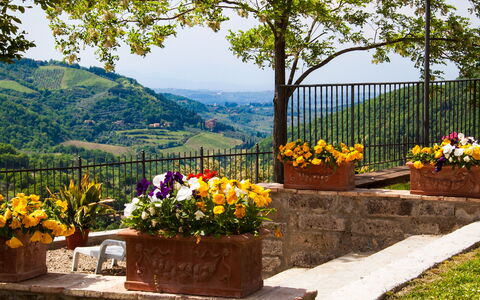 Agriturismo Casa Da Pietro: Blumentopf, Hügel, Frühling, Zimmerpflanze, Garten, Zaun, Landscaping, Tisch Im Freien, Floristik