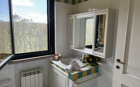 Green Hills 13: Armatur, Sinken, Bad Sink, Interior Design, Zapfhahn, Installation, Badezimmer, Countertop, Zimmer, Spiegel