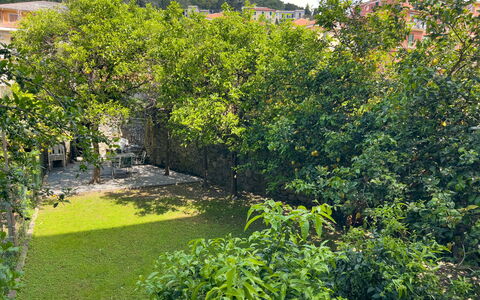 Corso Roma 15 Vacanze - Levanto: Blatt, Vegetation, Strauch, Garten, Frühling, Gehölz, Schatten, Landscaping, Hinterhof, Walkway
