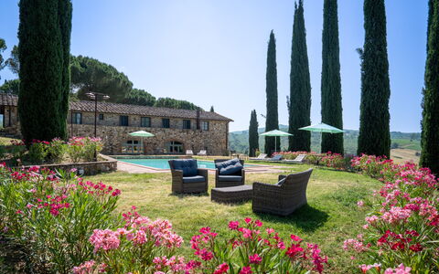 Passignano: Garten, Landscaping, Villa, Immergrün