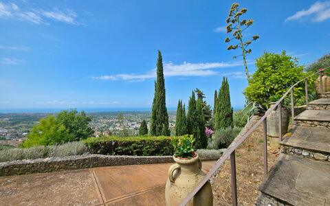 Uno Sguardo sul Mare: Landschaft, Landscaping, Immergrün, Botanischer Garten, Pine Familie