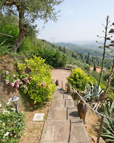 Uno Sguardo sul Mare: Vegetation, Strauch, Landschaft, Pflanzengemeinschaft, Garten, Ground, Walkway, Weg, Botanischer Garten
