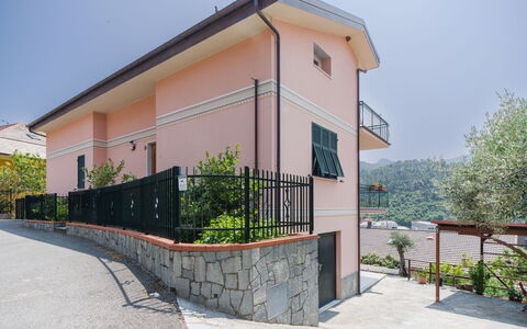 Il Caprifoglio: Blau, Gelb, Balkon, Holzbeize, Hotel, Zimmerpflanze