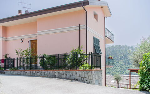 Il Caprifoglio: Blau, Gelb, Balkon, Holzbeize, Hotel, Zimmerpflanze