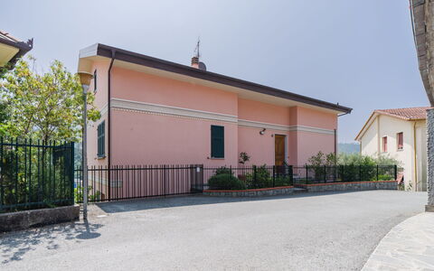 Il Caprifoglio: Blau, Gelb, Balkon, Holzbeize, Hotel, Zimmerpflanze