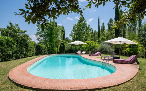 Casa La Cedrina, Pool, Lornano: Blau, Schwimmbad, Garten, Schatten, Gartenmöbel, Landscaping, Hazienda, Estate, Eco Hotel, Garten