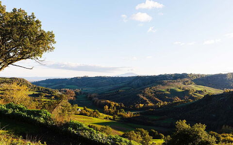 Villa Sassinoro: Bergforms, Grün, Hügel, Natur, Natürliche Landschaft, Vegetation, Berg, Wiese, Hochland, Landschaft
