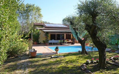 La Sevillana: Zuhause, Garten, Hinterhof, Hazienda, Schatten, Garten, Hütte, Estate, Landscaping, Bauernhaus