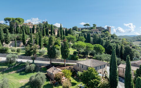 Maria Gabriella Holiday Home In Monticchiello: Baum, Vegetation, Strauch, Landschaft, Grundstueck, Ländliches Gebiet, Estate, Landscaping, Dorf