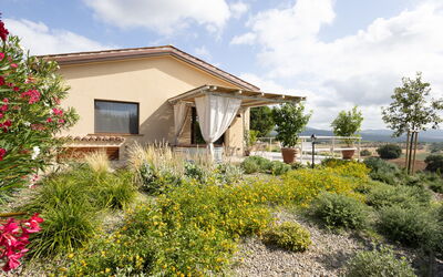 Roccastrada 57: Strauch, Pflanzengemeinschaft, Garten, Grundstueck, Ground, Landscaping, Krautige Pflanze, Shrubland, Hinterhof