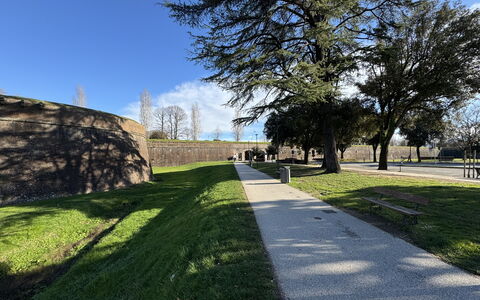 Casa Capolino: Gras, Baum, Rasen, Walkway, Bürgersteig, Landscaping, Garten, Park, Auffahrt, Schatten