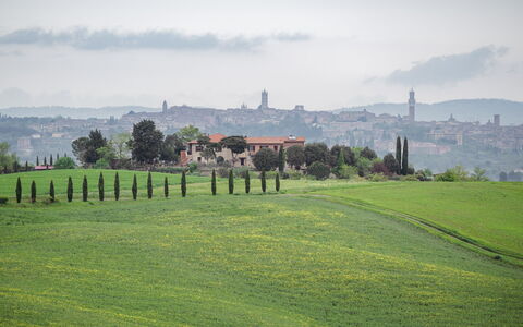 La Casina Cottage: Gras, Wiese, Horizont, Landschaft, Einfach, Hügel, Grundstueck, Wiese, Feld, Ländliches Gebiet