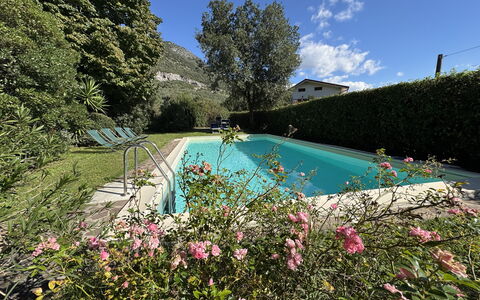 Allo Scoiattolo: Strauch, Schwimmbad, Garten, Landscaping, Hinterhof, Garten, Hazienda, Bauernhaus, Eco Hotel