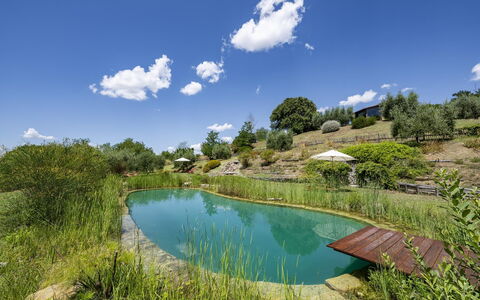 Aqua Bio Retreat: Blau, Natürliche Landschaft, Teich, Garten, Schwimmbad, Reflexion, Landscaping, Reservoir, Eco Hotel