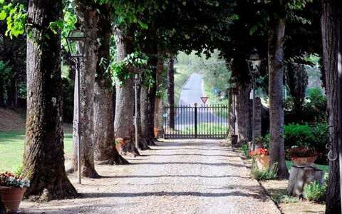 Villa Medicea Lo Sprocco: Strauch, Walkway, Garten, Kofferraum, Auffahrt, Weg, Bürgersteig, Schatten, Landscaping, Flagstone