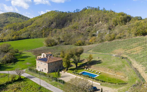 La Morella: Grundstueck, Ländliches Gebiet, Zuhause, Hütte, Estate, Bauernhaus, Garten, Rasen, Wiese, Schwimmbad