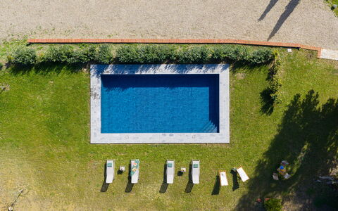La Morella: Schwimmbad, Freizeit, Garten, Rasen, Gartenmöbel, Landscaping, Resort, Kunstrasen, Water Feature, Hinterhof