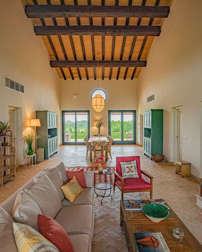 Villa Lodolaio: Möbel, Zuhause, Estate, Decke, Stuhl, Villa, Wohnzimmer, Bauernhaus, Design, Zimmerpflanze