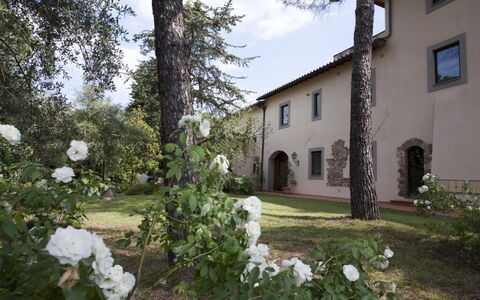 Relais de Ricci: Strauch, Estate, Garten, Hazienda, Auffahrt, Landscaping, Garten, Hof, Walkway, Hinterhof