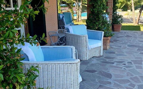 Casa Mia: Möbel, Gartenmöbel, Schatten, Stuhl, Blumentopf, Flooring, Flagstone, Tisch Im Freien, Garten, Landscaping