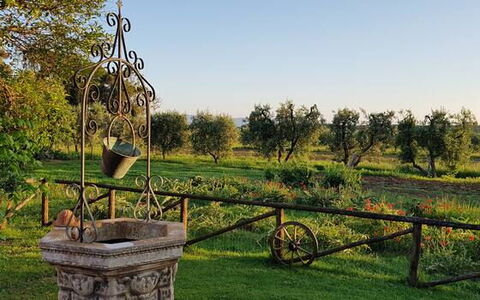 Appartamento Ibisco Seaside and Pool: Einfach, Garten, Park, Rasen, Garten, Landscaping, Plantage, Botanischer Garten, Bauernhof, Hinterhof