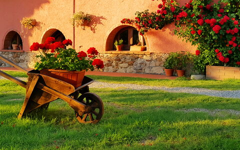 Appartamento Ibisco Seaside and Pool: Garten, Landscaping, Garten, Blumentopf, Hinterhof, Hazienda, Zimmerpflanze